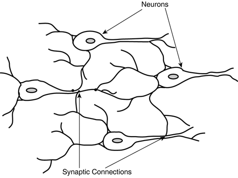 graphics/19fig04.gif