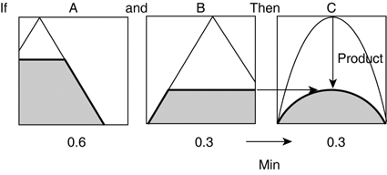 graphics/30fig07.gif