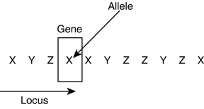 graphics/32fig01.gif