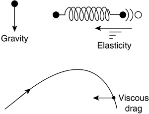 graphics/19fig02.gif
