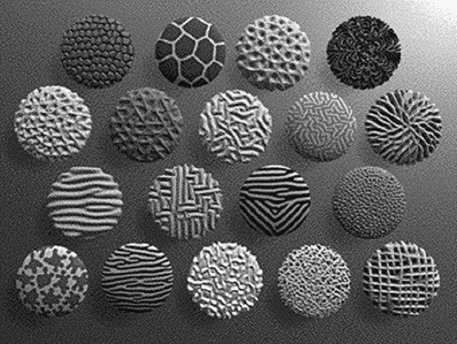 graphics/21fig02.gif
